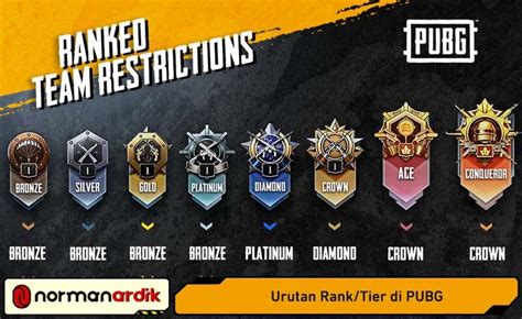 tingkatan tier pubg Promo Welkin terbaru — paling efisien namun terbatas waktu sangat hemat Diamond dikirim otomatis untuk premium image 1