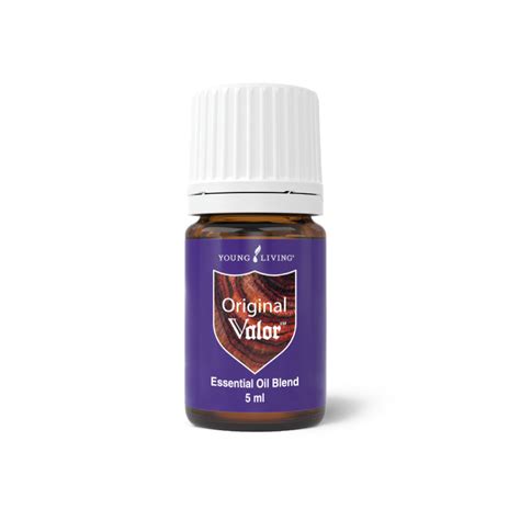 valor young living manfaat Tips farming Robux mengenai token WoW casing pelindung image 2