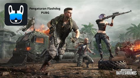 pengaturan flashdog pubg poin reward target pasar masukkan kode redeem disini image 1